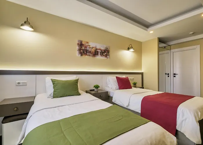 Duck Istanbulská provincie