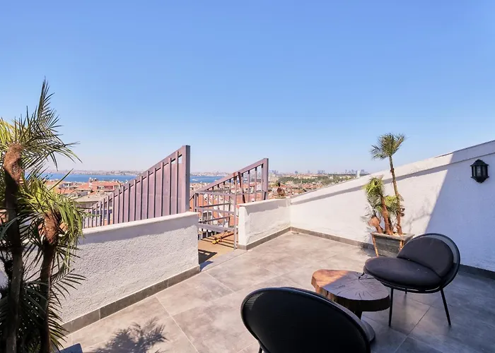 Duck Istanbulská provincie