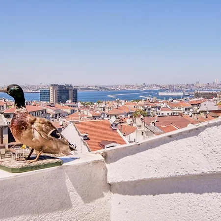 Hotel Duck 3*